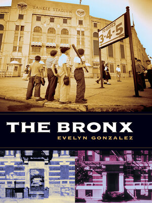 cover image of The Bronx